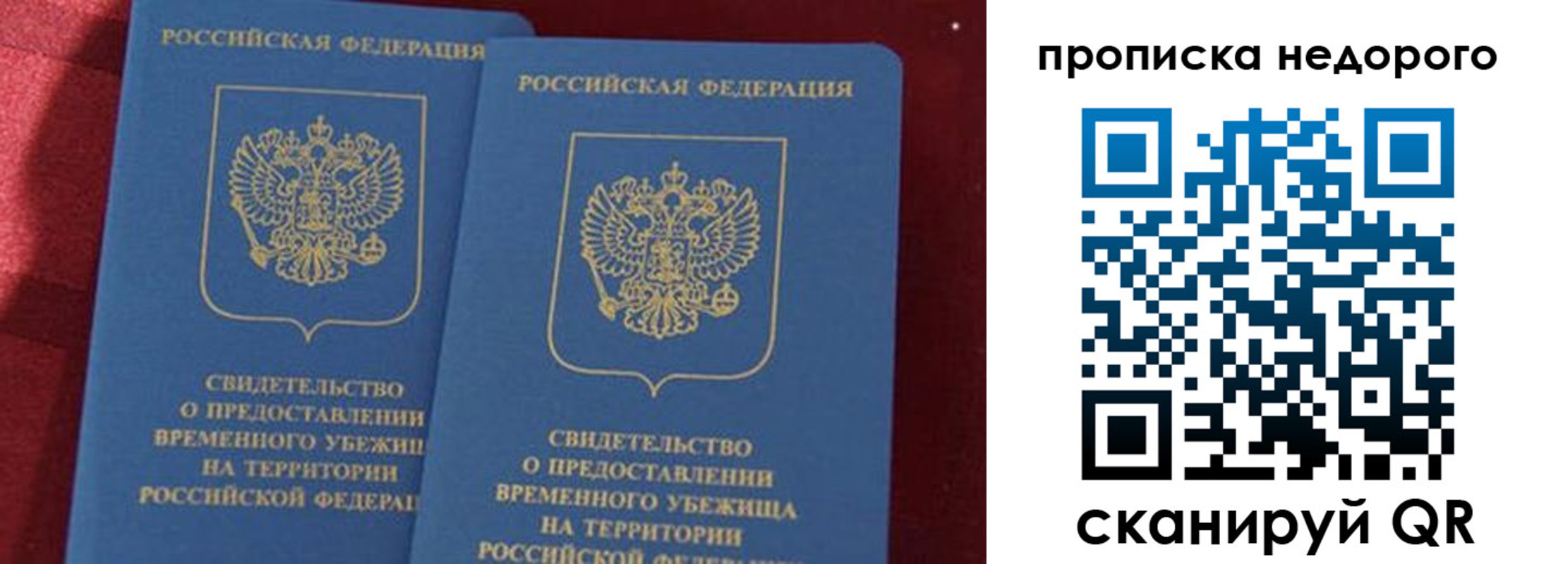 прописка гарантия в Гвардейске